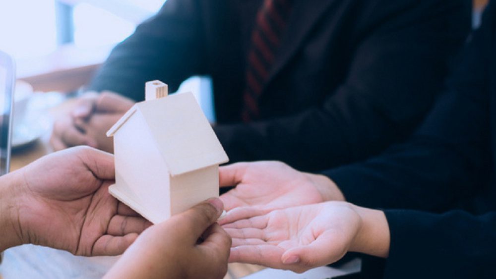 direito-familiar-partilha-em-vida